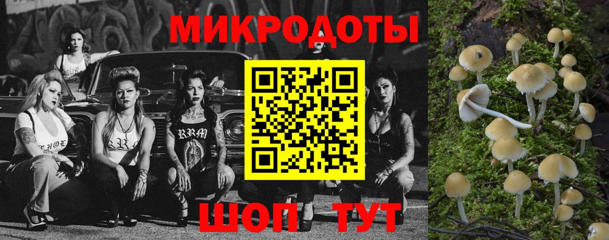 Псилоцибиновые грибы Magic Shrooms  Вход с VPN  купить закладку  Шебекино 