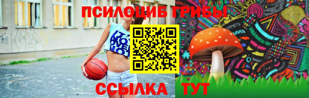 Псилоцибиновые грибы Psilocybine cubensis Шебекино