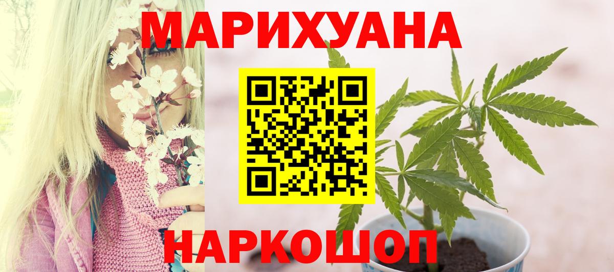 Шишки марихуана тримм  Конопля конопля  Бошки Шишки конопля  Вход с VPN  Шебекино  Шишки марихуана планчик 